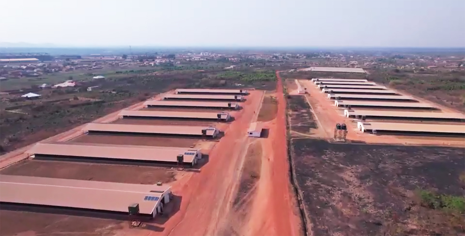 共創中非合作新標桿！Vinmart與智光電氣簽訂3個非洲光儲項目